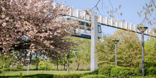 TU im Frühling_10 H-Bahn Linie umgeben von blühenden Bäumen.